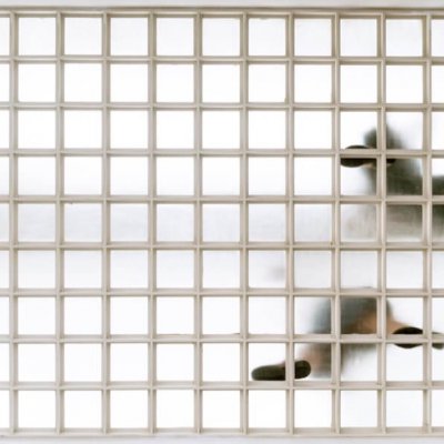 Glass Blocks - floor